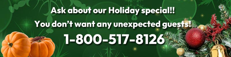 Ask about our Holiday Special banner