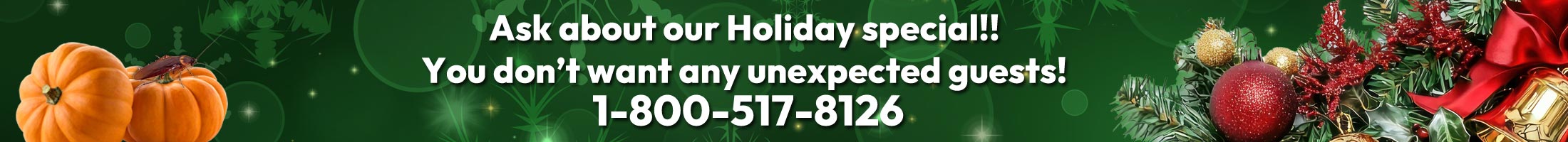 Ask about our Holiday Special banner